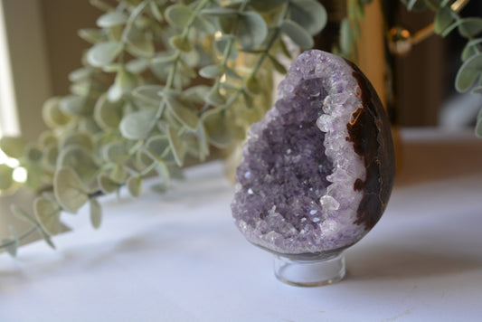 Amethyst | Egg image 0