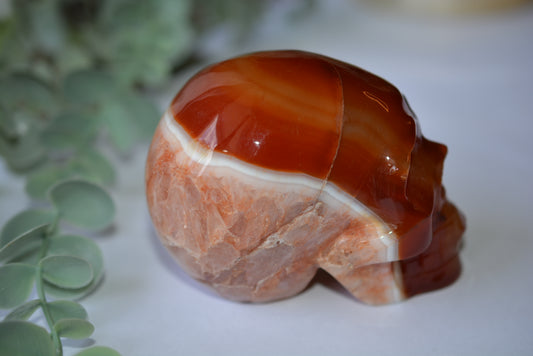 Carnelian | Skull image 1