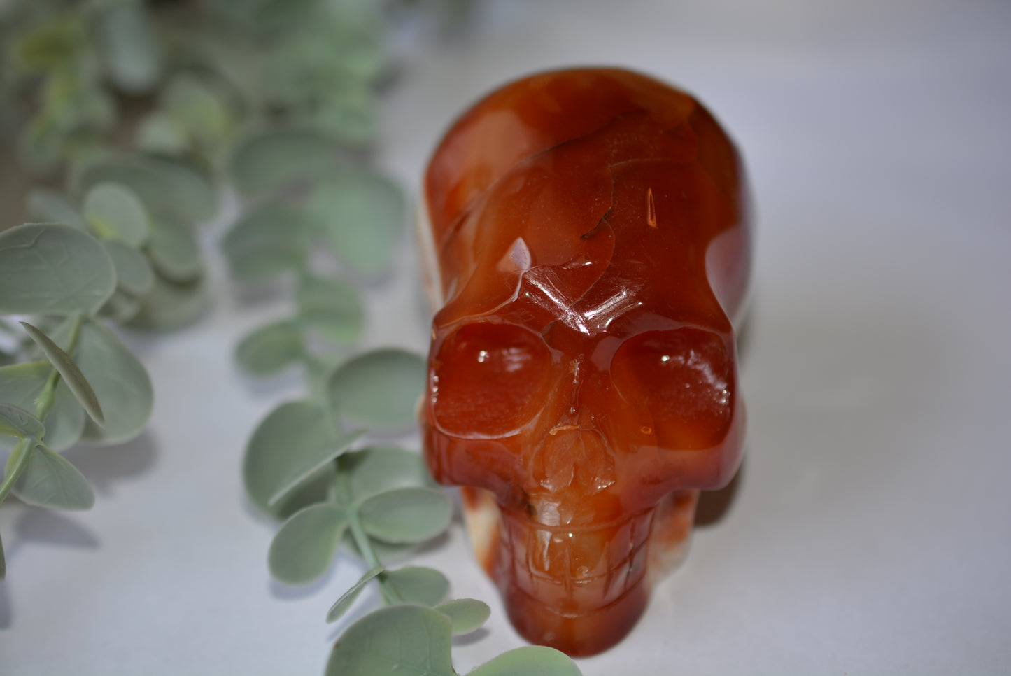 Carnelian | Skull image 0