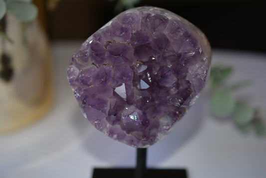 Amethyst | Cluster on Stand Round image 1