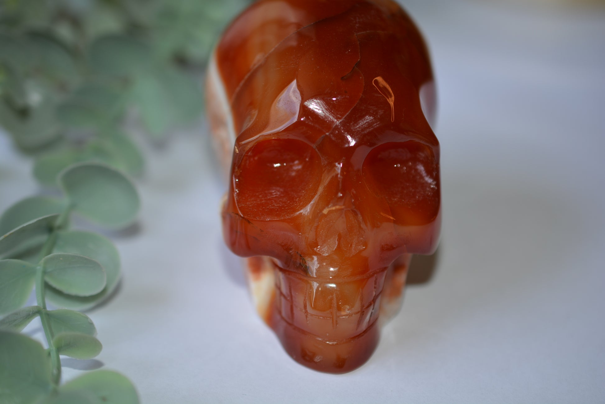Carnelian | Skull image 2