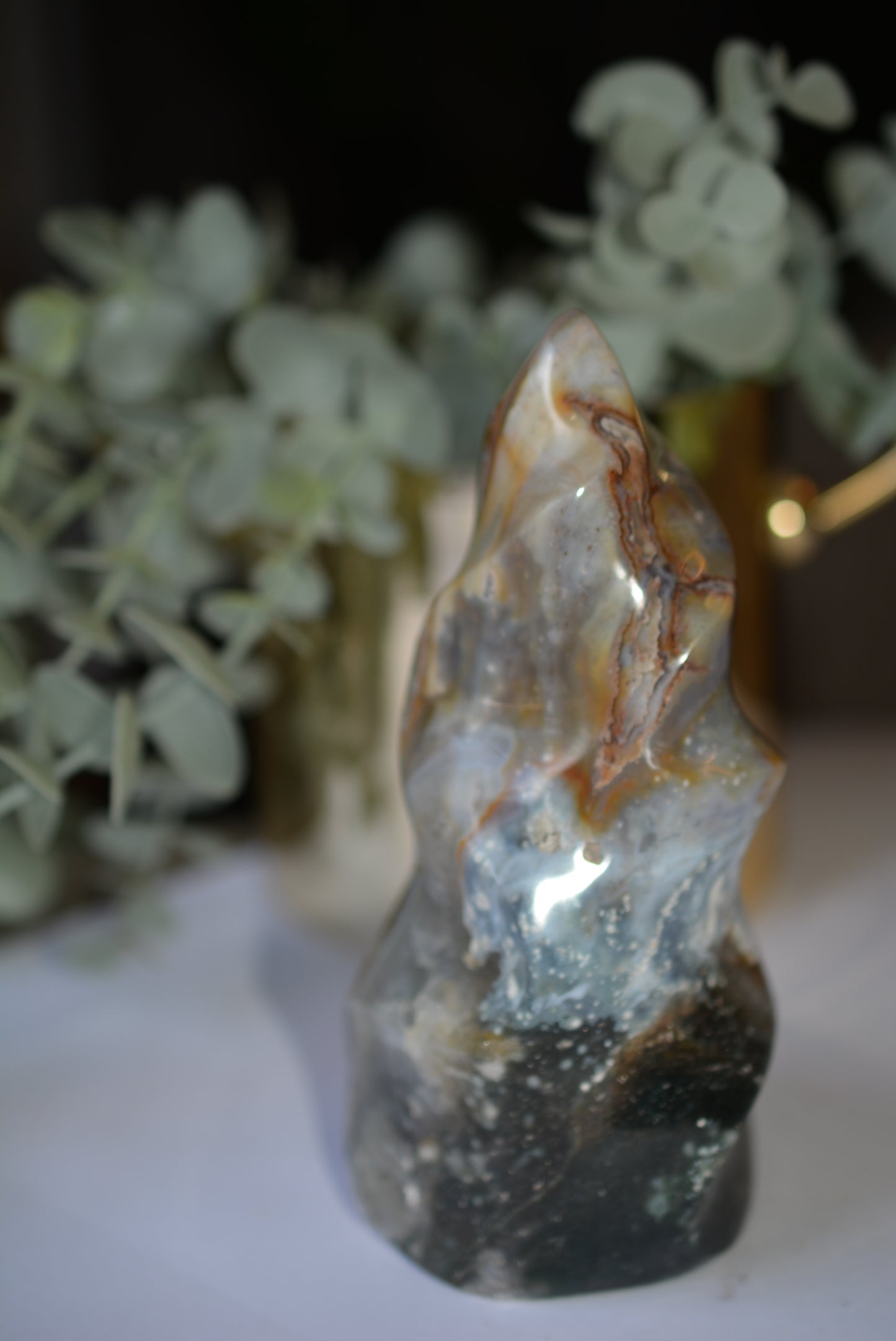 Ocean Jasper | Freeform image 2