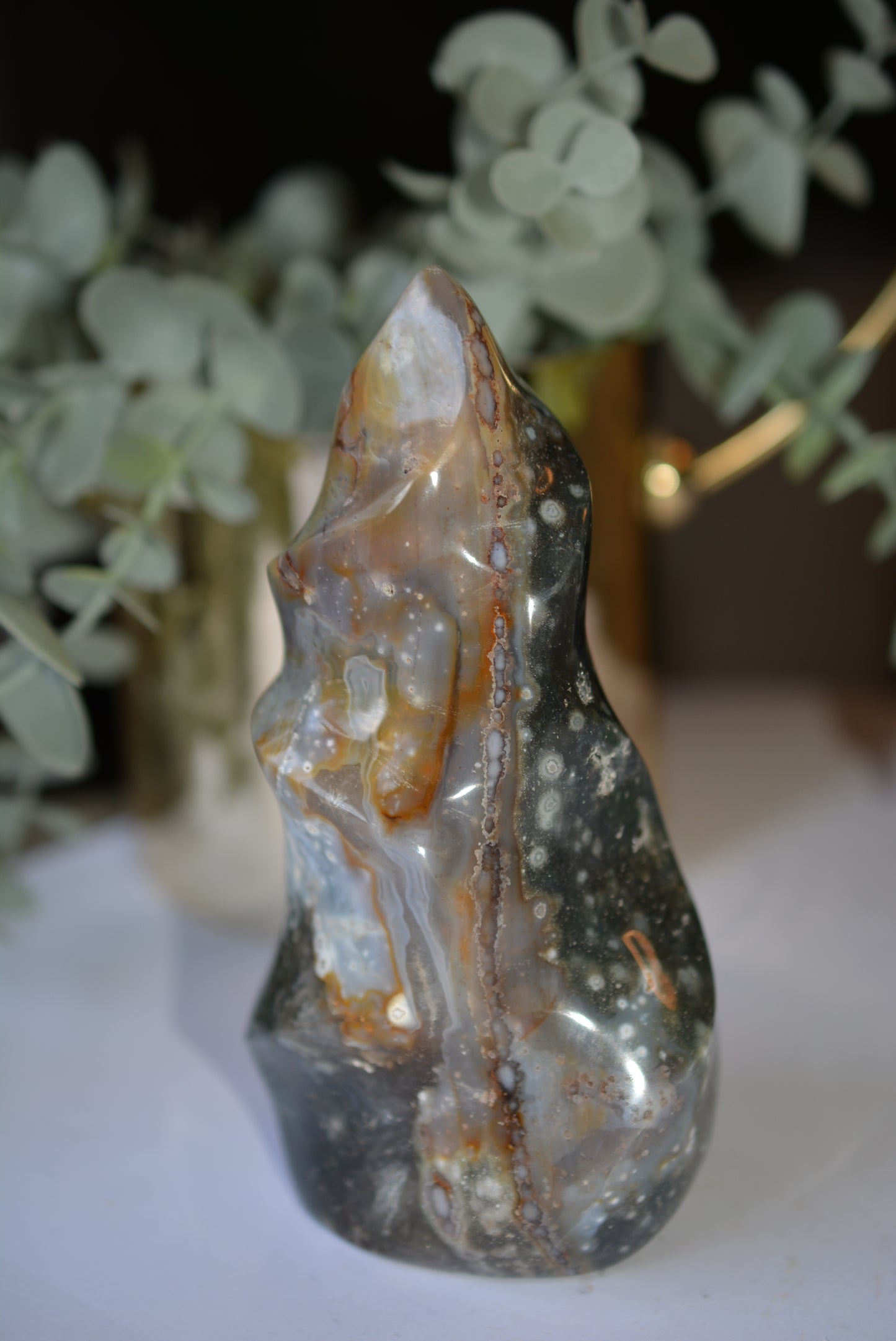 Ocean Jasper | Freeform image 0