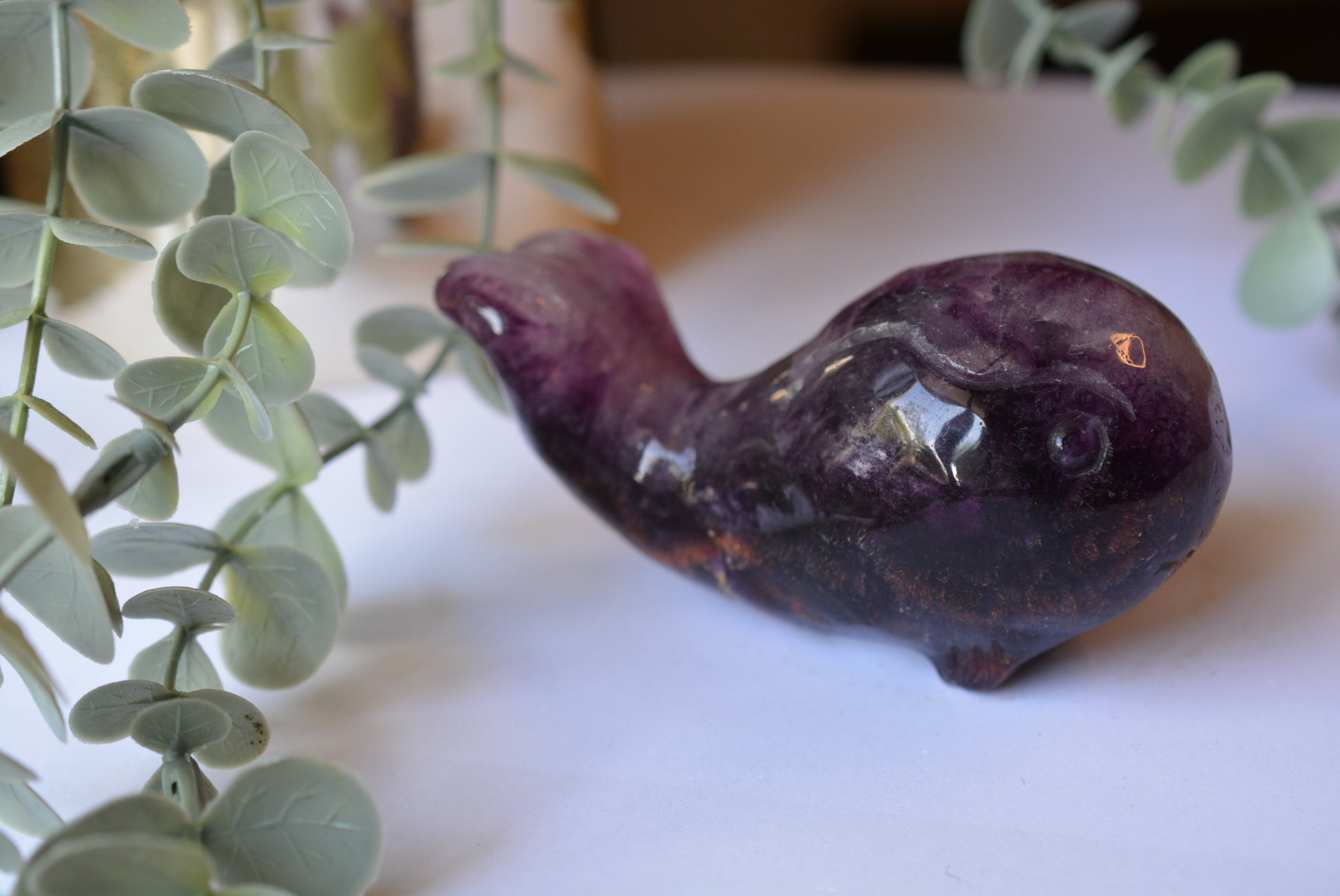 Candy Fluorite | Whale image 2