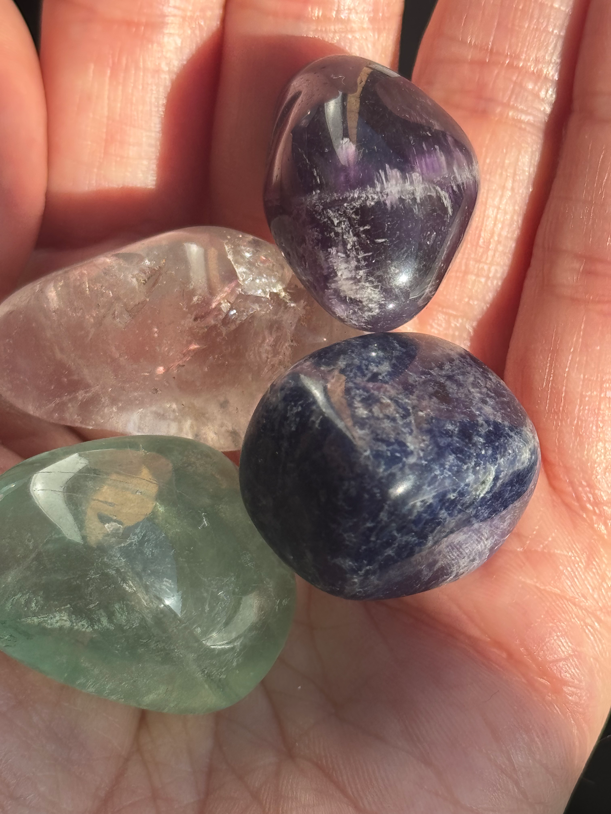 Focus & Clarity Kit image 0