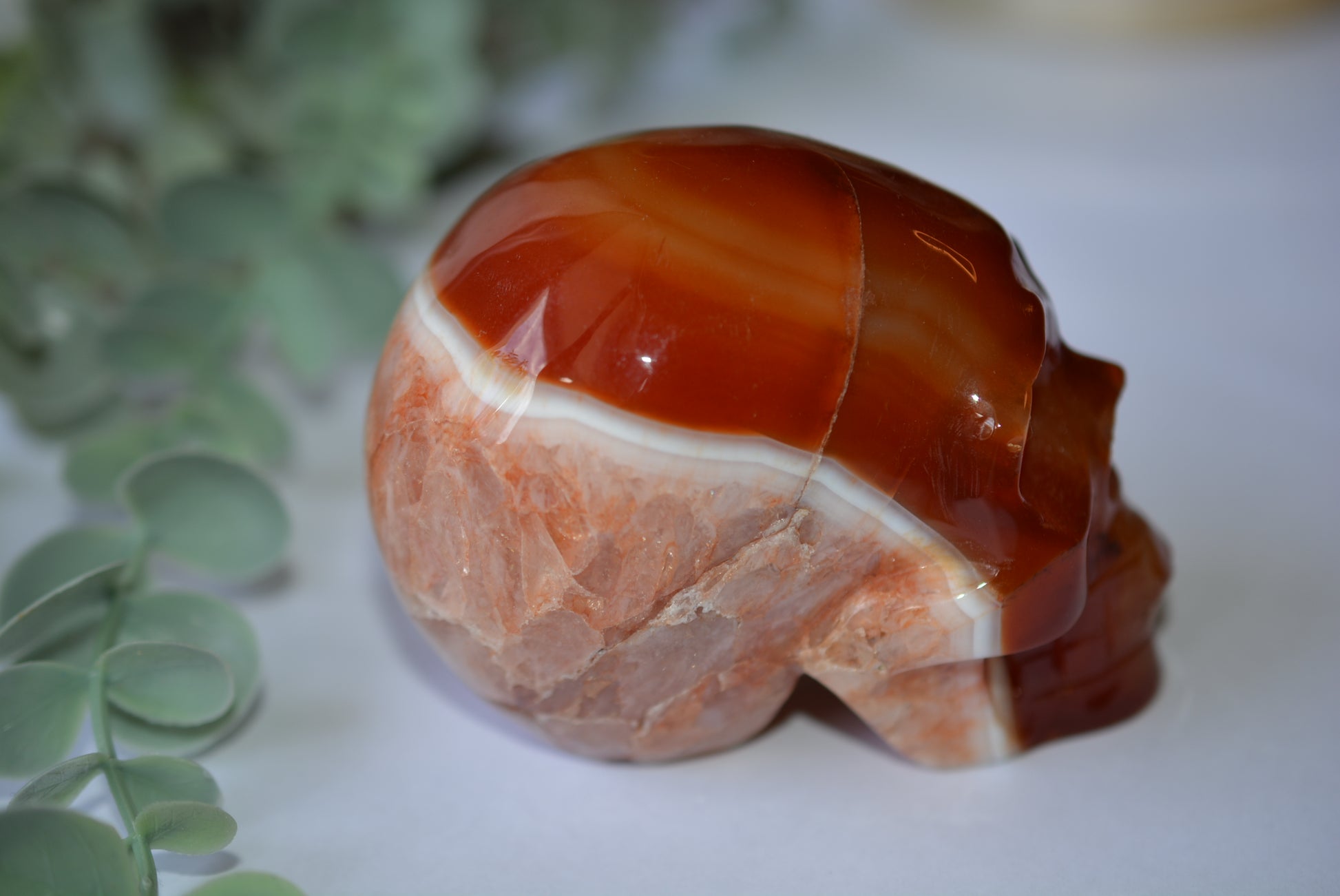 Carnelian | Skull image 1