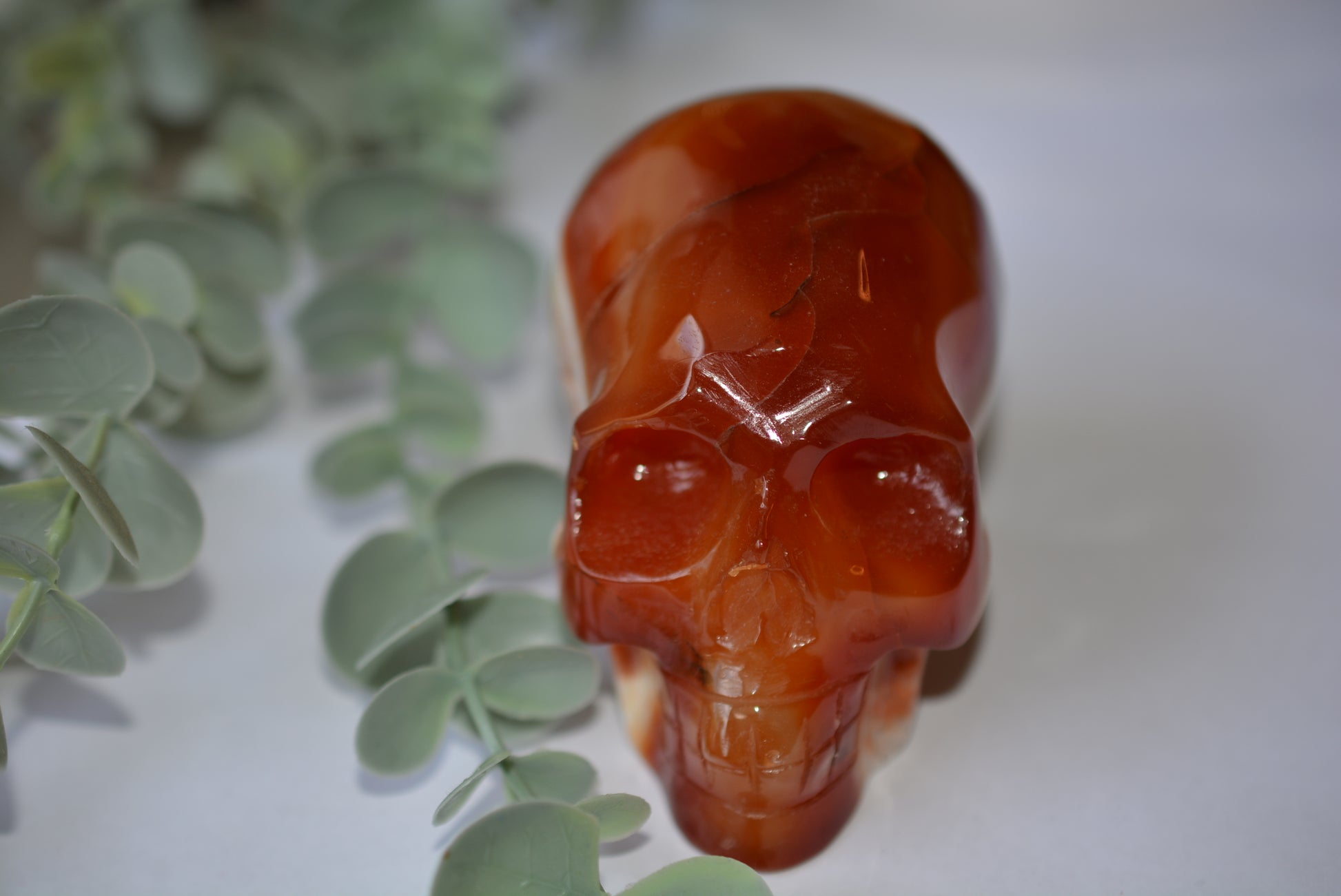 Carnelian | Skull image 0