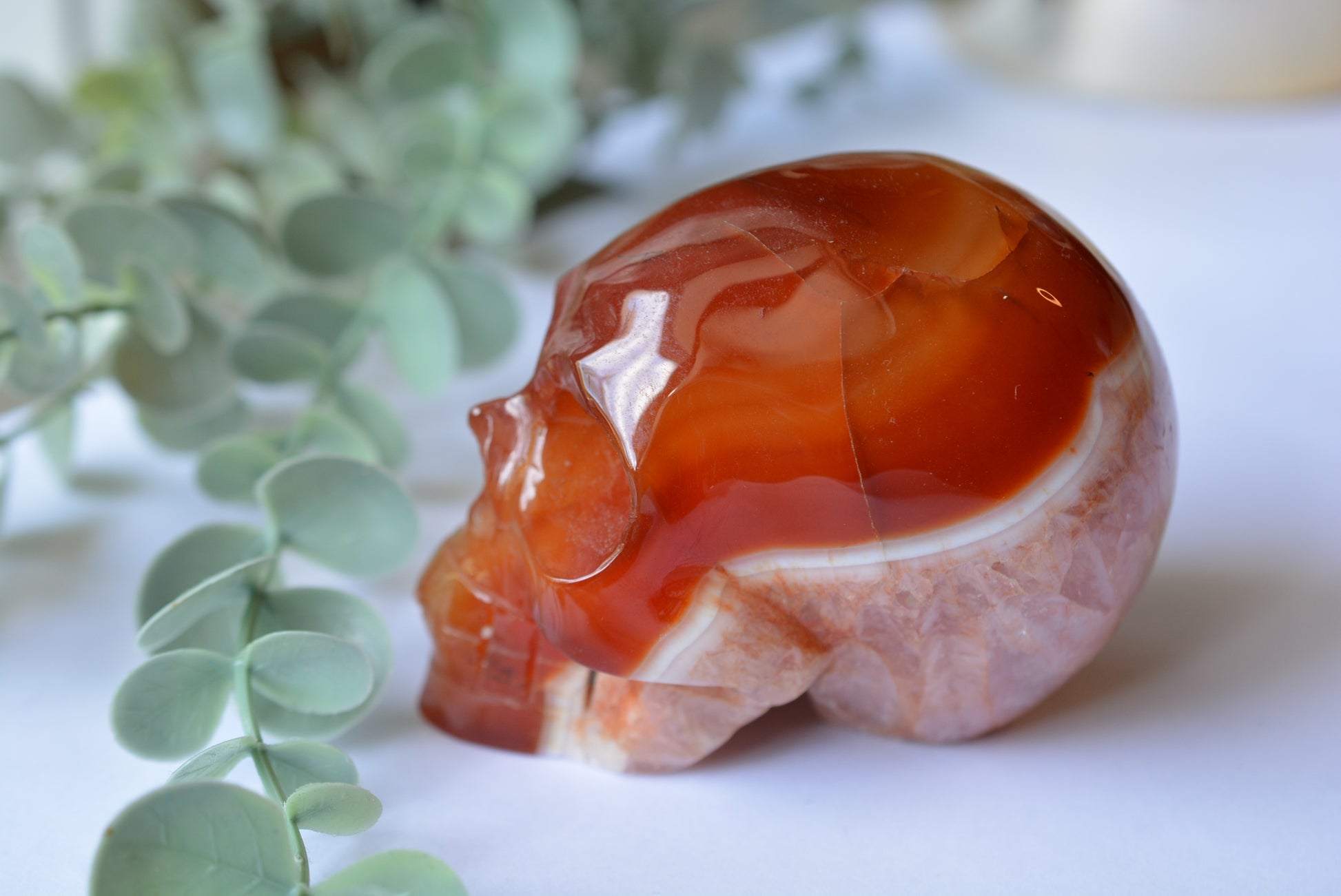 Carnelian | Skull image 3