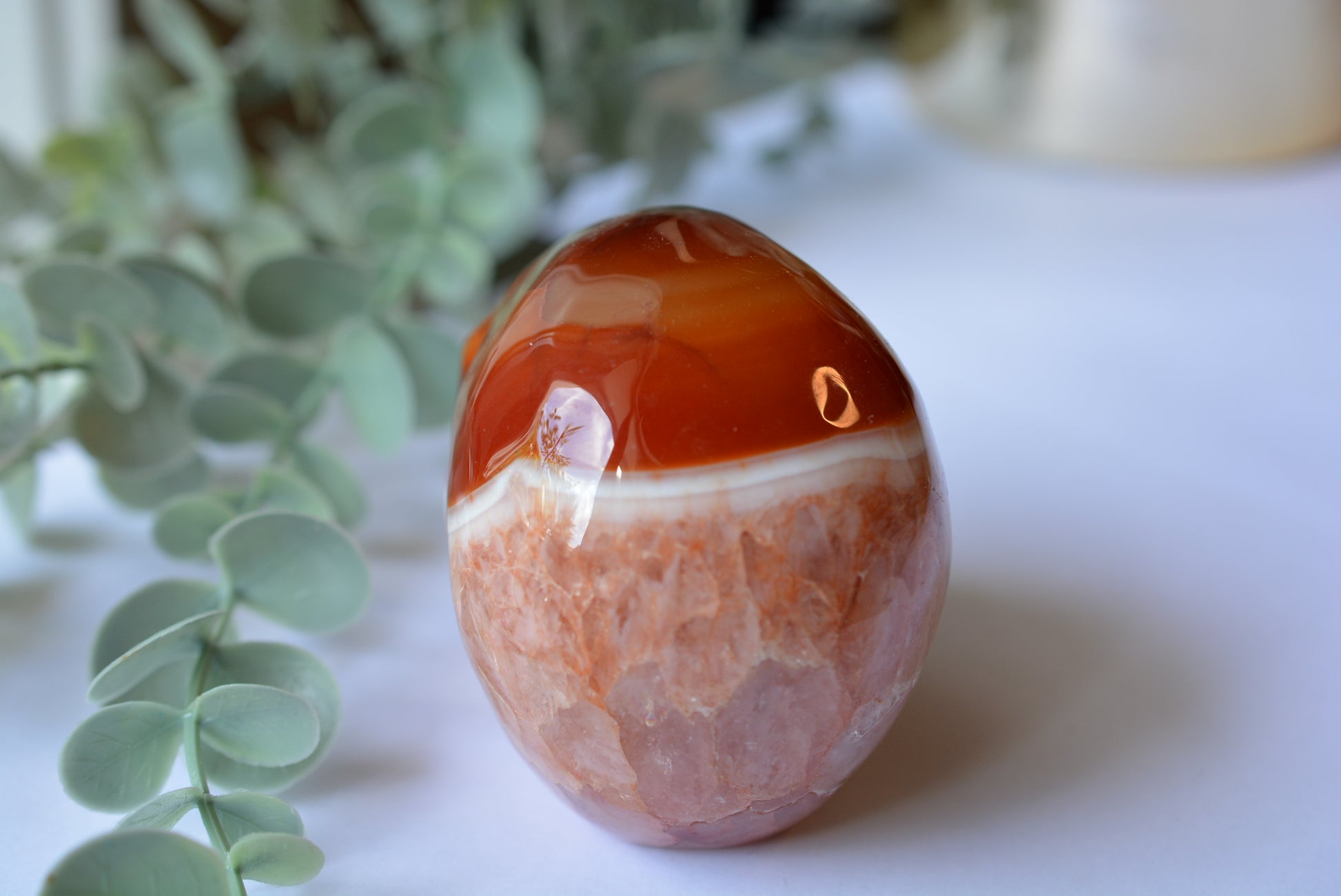 Carnelian | Skull image 4